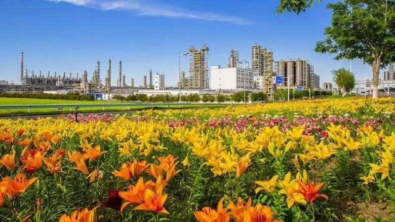 无机化工原料参数表：揭秘如何准确解读与应用
