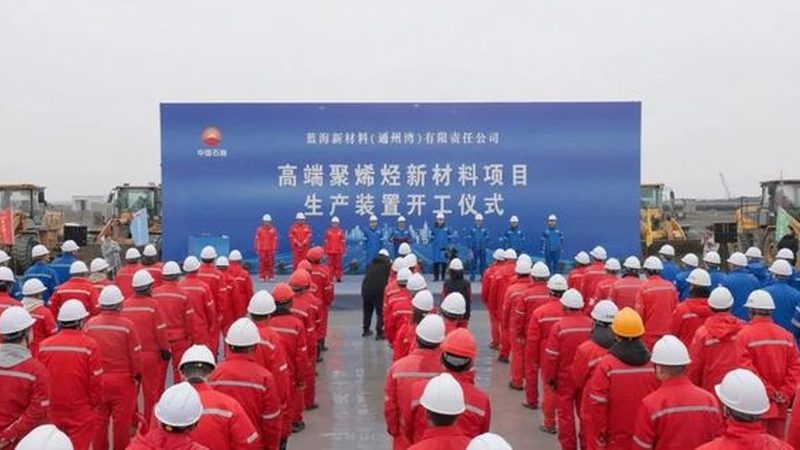 农药精细化工配方定制，如何确保高效与合规？**